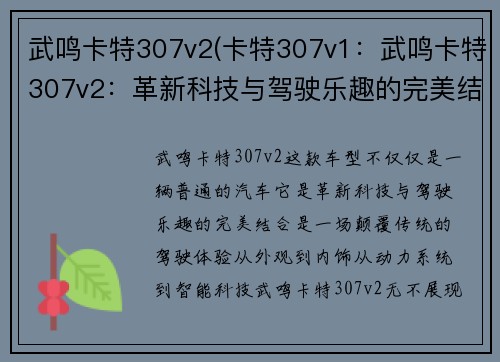 武鸣卡特307v2(卡特307v1：武鸣卡特307v2：革新科技与驾驶乐趣的完美结合)